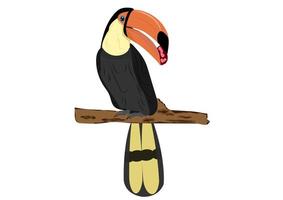 Bird Hornbill standing On branch of tree Vector Illustration