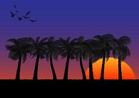 graphics image coconut tree with sunset or sunrise background orange and blue of sky vector illustration