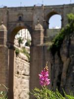 RONDA, ANDALUCIA, SPAIN, 2014. View of the New Bridge in Ronda Spain on May 8, 2014 photo