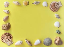 frame made of sea shells on yellow background. photo