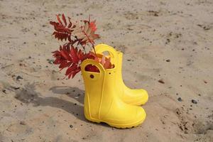 botas de lluvia amarillas en la arena. botas de goma con hojas de otoño. foto