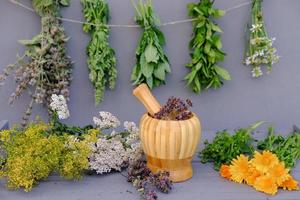 healing herbs and mortar on a grey background. photo