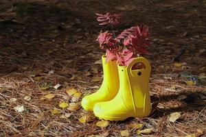 botas de lluvia amarillas en un bosque. botas de goma con hojas de otoño. foto