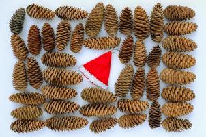 santa's red hat and pine cones. festive christmas flat lay photo