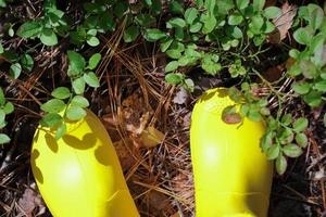 cropped view of girl's legs in yellow rain boots. photo