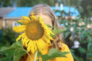 A girl hiding behind a sunflower. photo