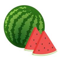 A whole ripe green watermelon and some red juicy slices. vector