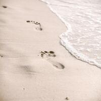 Soft focus and tone of footprints on the tropical beach sand with coast line. Journey and leisure concept.. photo