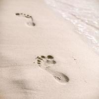 Soft focus and tone of footprints on the tropical beach sand with coast line. Journey and leisure concept.. photo