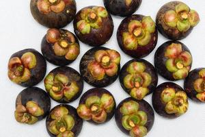 Queen of fruit. Mangosteens on the white background. photo