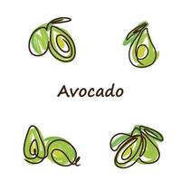 Avocado set, line drawing, juicy, ripe and delicious, green color vector