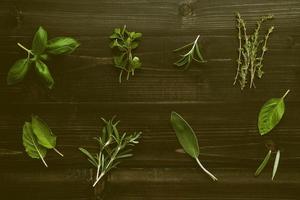 Various of spices and herbs on wooden background. Flat lay spices ingredients rosemary, thyme, oregano, sage leaves and sweet basil on dark wooden. photo
