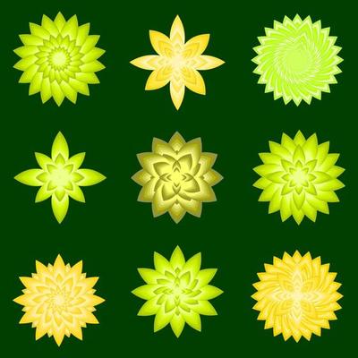 summer greenery freshy botanical florist decoration abstract background vector illustration