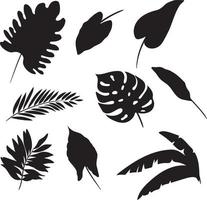 conjunto de siluetas de hojas de palma aisladas sobre fondo blanco. eps10 vector