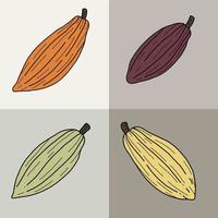 Cacao pods which is raw ingredient for chocolate freehand drawing. vector