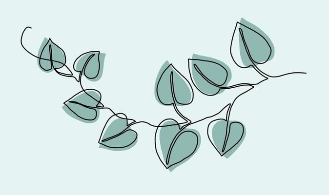 Simplicity ivy continuous line freehand drawing.