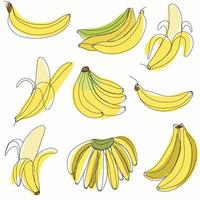 colección de diseño plano de dibujo de línea continua a mano alzada de fruta de plátano simple. vector