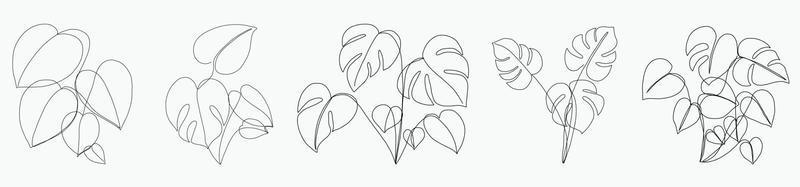 Simplicity monstera leaf freehand continuous line drawing flat design. vector