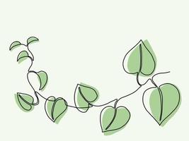 Simplicity ivy continuous line freehand drawing. vector