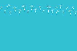 Dandelion vector illustration for the textiles, wallpapers, decorations.