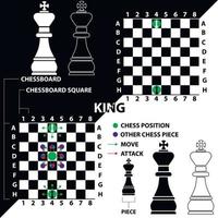 King. Chess piece made in the form of illustrations and icons. Black and white king with a description of the position on the chessboard and moves. Educational material for beginner chess players. vector