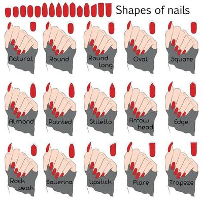 Nail Shapes Vector Art, Icons, and Graphics for Free Download