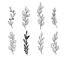 Set of sprigs with leaves. A collection of different leaves on branches in outline style. Vector illustration isolated on white background. Vector line art