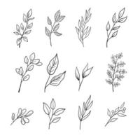 Set of sprigs with leaves. A collection of different leaves on branches in outline style. Vector illustration isolated on white background