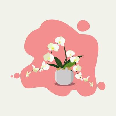 White flower with pot vector illustration