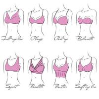 Illustration of the design and variety of women's bras. Hand-drawn lingerie models. Brasseries are classified into various styles based on criteria. vector