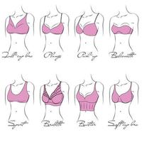 Illustration of the design and variety of women's bras. Hand-drawn lingerie models. Brasseries are classified into various styles based on criteria. vector