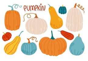 conjunto de calabaza diferentes colores y tamaños diseño plano ilustración vectorial vector