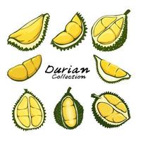 Collection of durian fruits isolated on white background vector