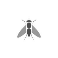 fly vector icon illustration design