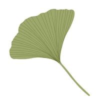 hoja de ginkgo fresca estilo plano simple ilustración vectorial dibujada a mano, planta detallada orgánica medicinal floral, símbolo cultural japonés, concepto de medio ambiente ecológico vector