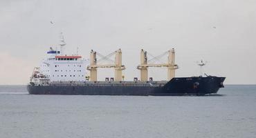 Cargo Ship in Sea photo