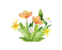 ramo de acuarela con hermosas flores silvestres vector