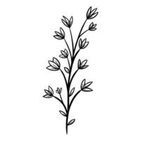ilustración vectorial floral dibujada a mano vector