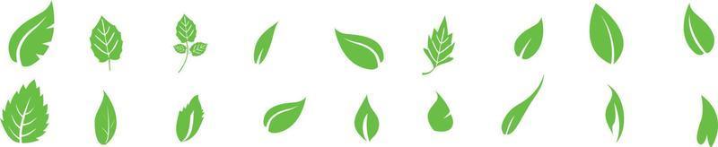 Set of green leaf icons. Green color. Leafs green color icon logo. Leaves on white background. Ecology. vector