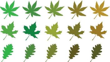 Vector icon illustration material of mulberry leaf and its leaf