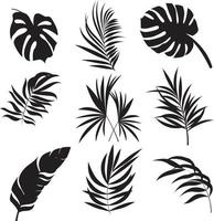 Set of palm leaves silhouettes isolated on white background. EPS10 vector