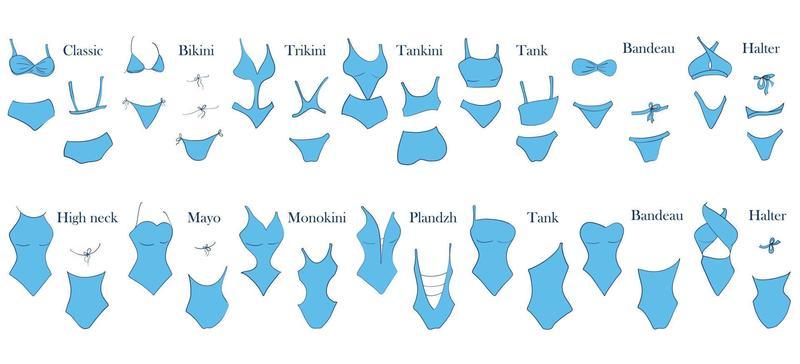 Types of women s swimwear. Illustration of a one piece and a two