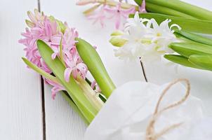 pink and white hyacinth flowers in florwer shop. photo