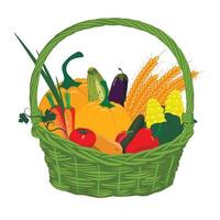 Basket with vegetables. Vector illustration for agricultural and farming fairs, food markets.