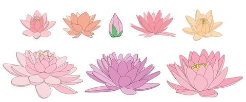 flores de loto en diferentes flores y formas. ilustración en blanco y negro de diferentes tipos de nenúfares.