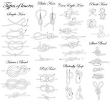 Types of knotes. Illustration of the sequence of tying knots of varying complexity. vector