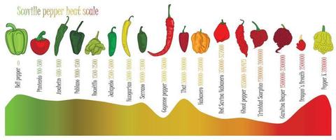 Scoville pepper heat scale. Pepper illustration from sweetest to very hot on color background. vector