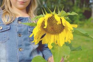 blond girl holding a sunflower. summer holiday. photo