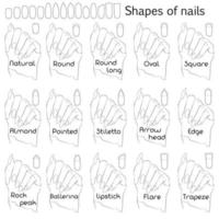 formas de uñas. ilustración en blanco y negro para manicura profesional con nombres de formas. la diferencia y similitud de formas en el ejemplo de una mano. vector