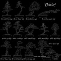 Bonsai. Different styles of miniature trees. The art of growing dwarf plants. vector